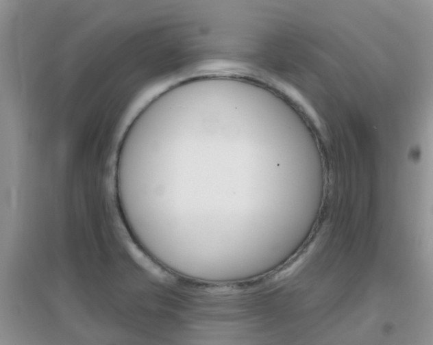 X0000096951421200802080911