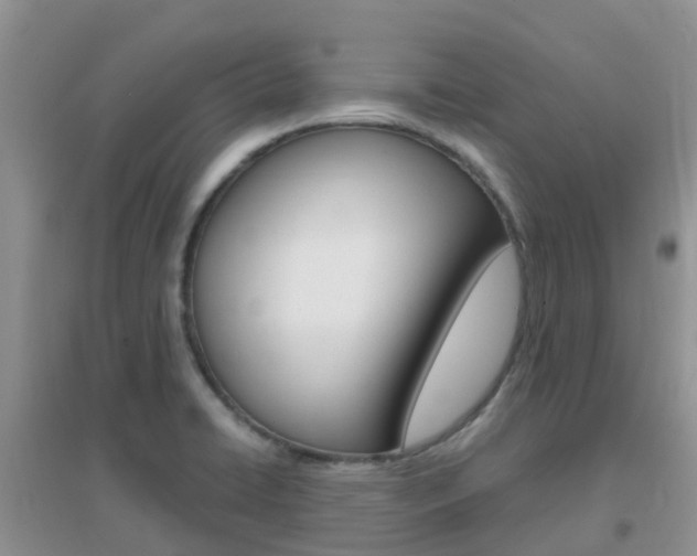 X0000096951422200802080911