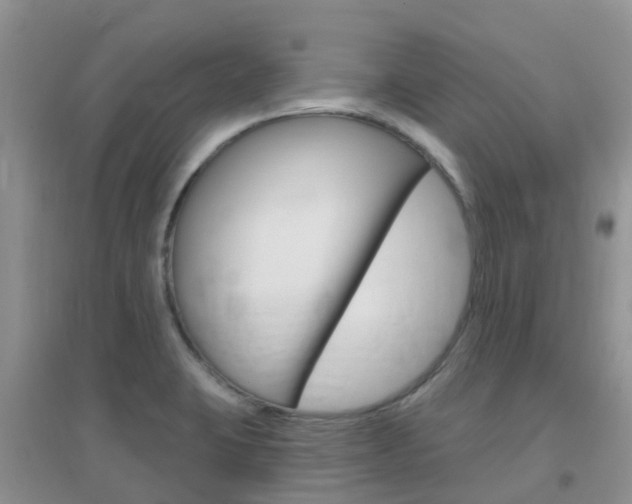 X0000096951423200802080911