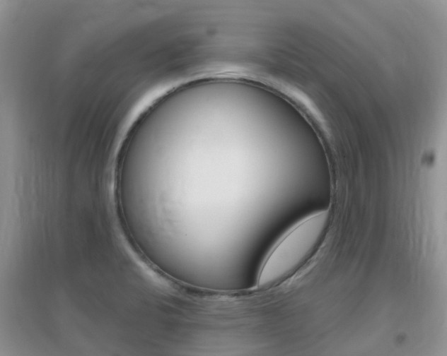 X0000096951424200802080911