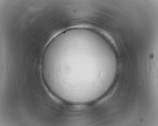 X0000096951425200802080911