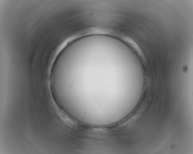 X0000096951427200802080911