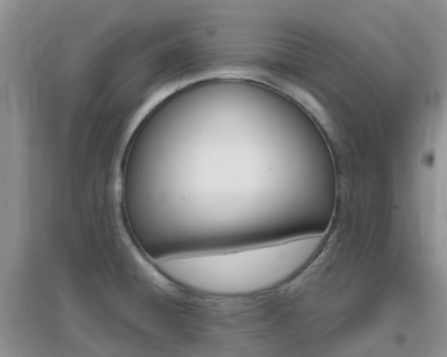 X0000096951428200802080911
