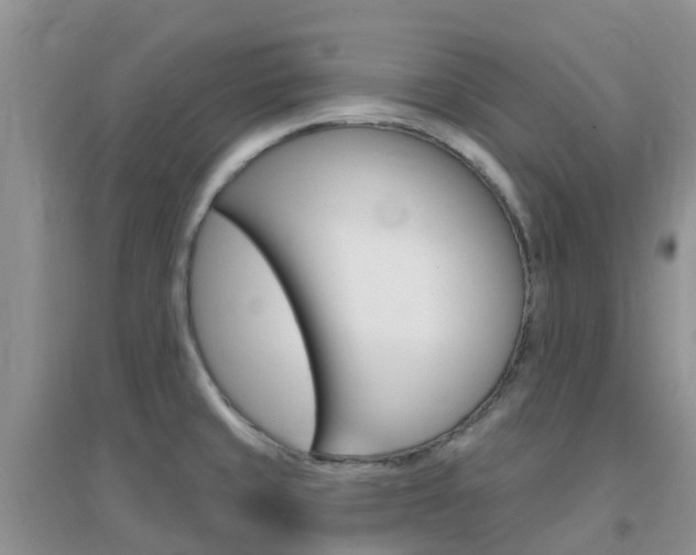 X0000096951429200802080911