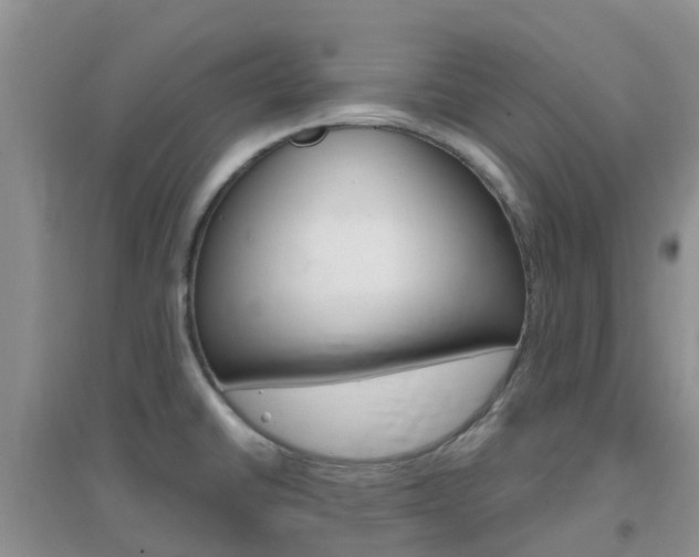X0000096951430200802080911