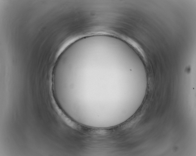 X0000096951431200802080911