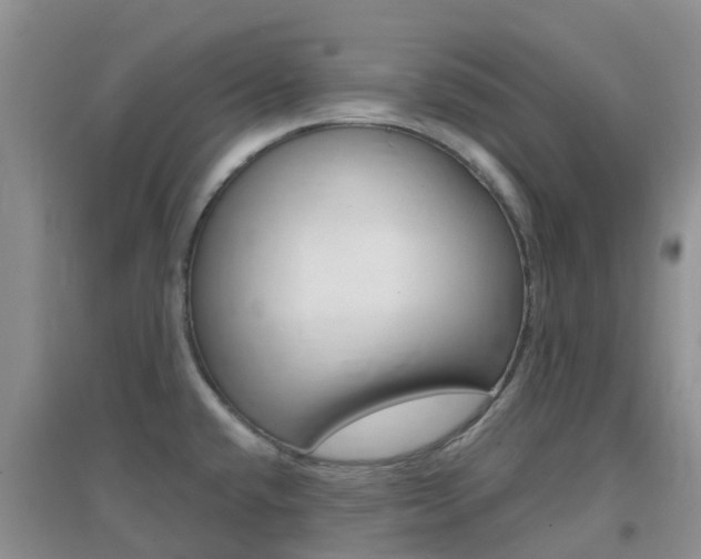 X0000096951432200802080911