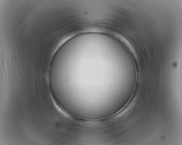 X0000096951433200802080911