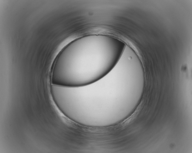 X0000096951434200802080911