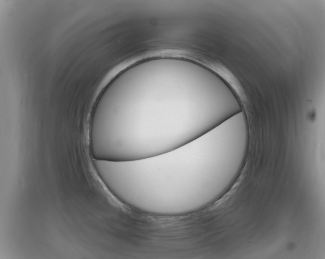 X0000096951436200802080911