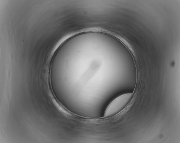 X0000096951438200802080911