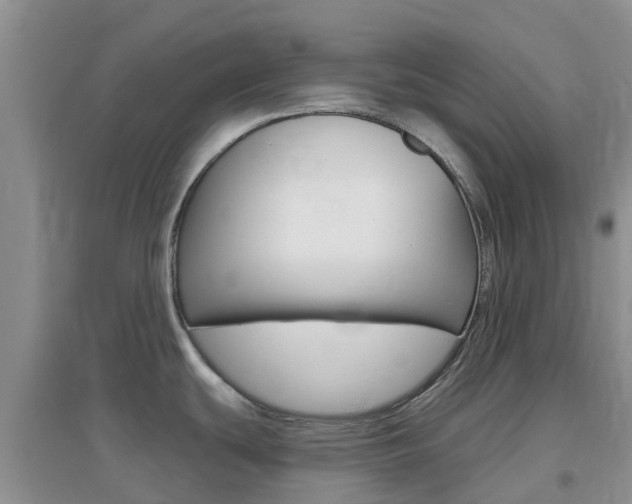 X0000096951439200802080911