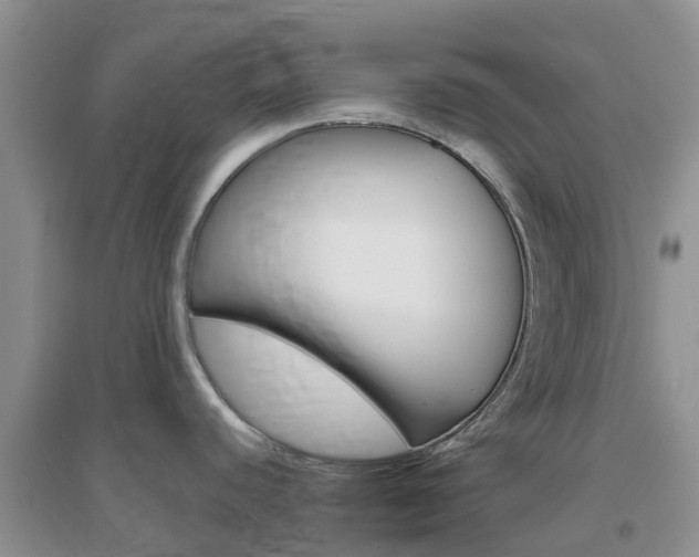 X0000096951440200802080911