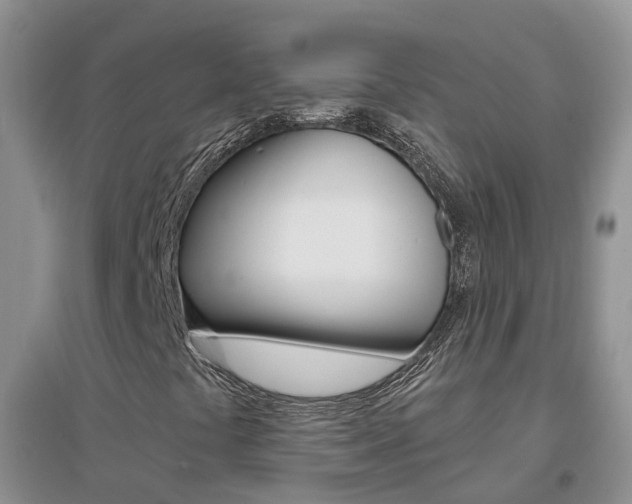 X0000096951441200802080910