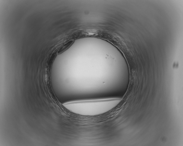 X0000096951442200802080910