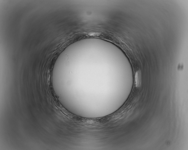 X0000096951443200802080910