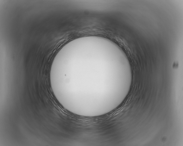 X0000096951444200802080910