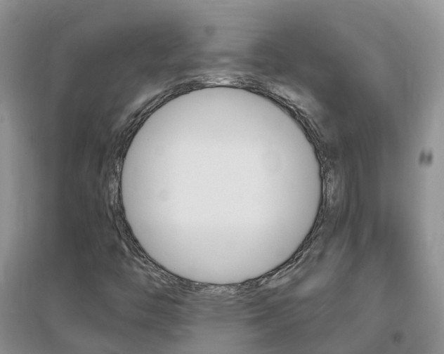X0000096951446200802080910