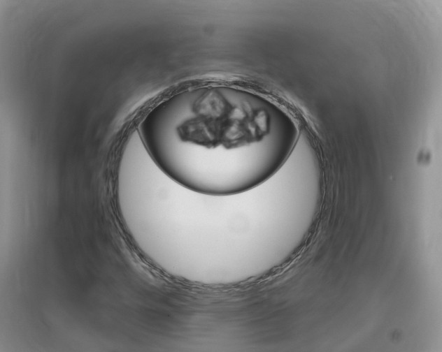 X0000096951448200802080910