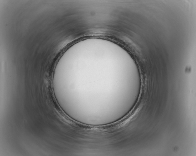 X0000096951449200802080910