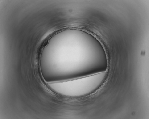 X0000096951450200802080910