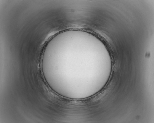 X0000096951451200802080910