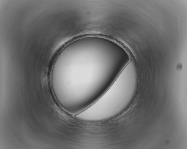 X0000096951452200802080910