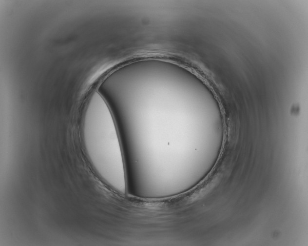 X0000096951453200802080910