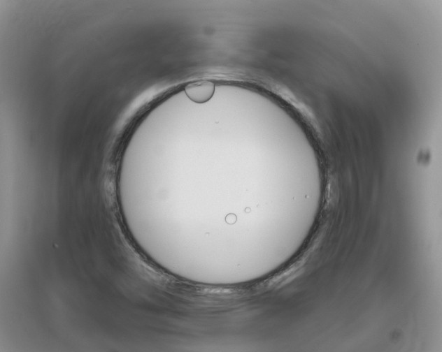X0000096951454200802080910