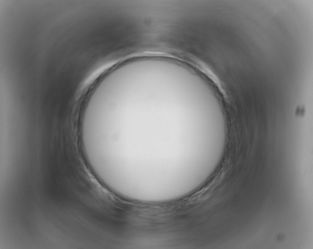 X0000096951456200802080910