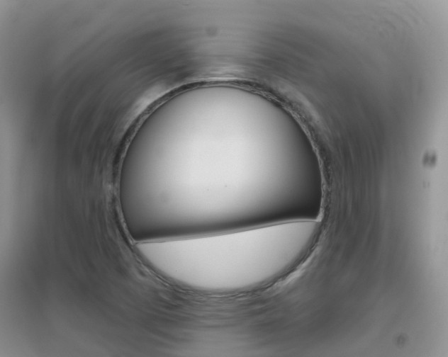 X0000096951457200802080910