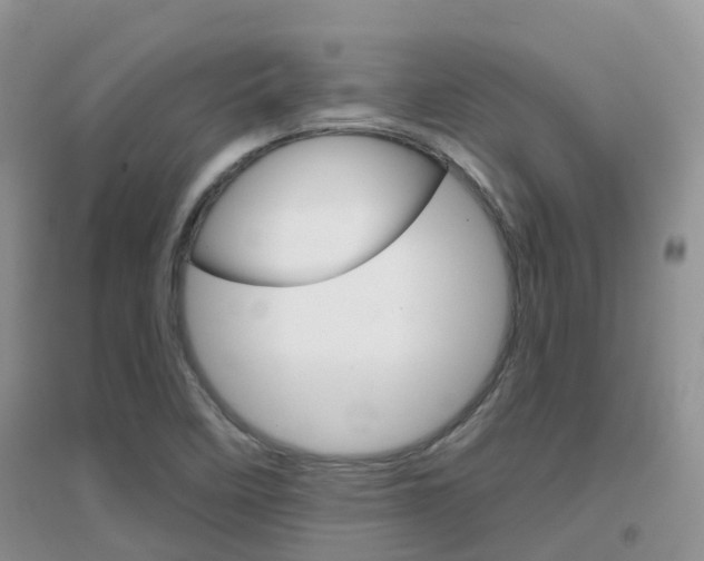X0000096951458200802080910