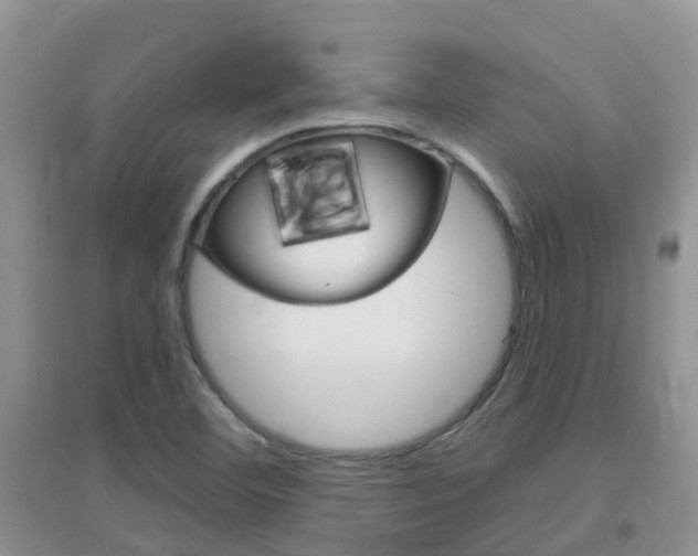 X0000096951460200802080910