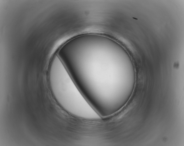 X0000096951461200802080910