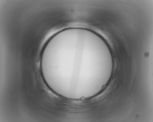 X0000096951462200802080910