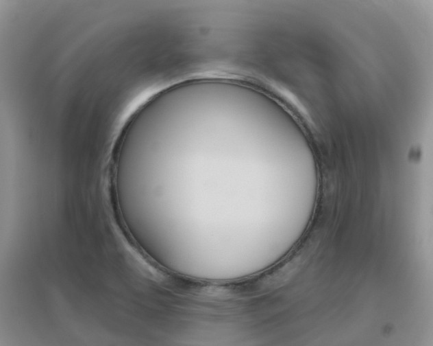 X0000096951463200802080910