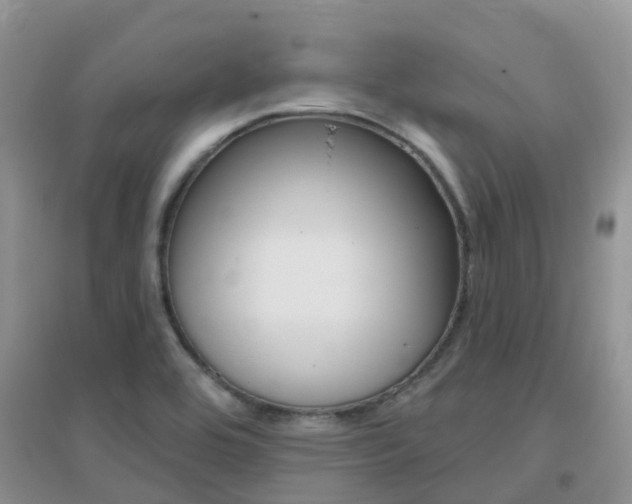X0000096951464200802080910