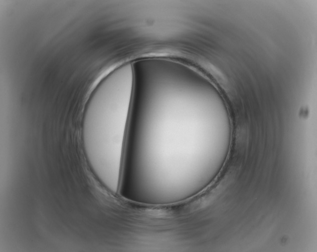 X0000096951465200802080910