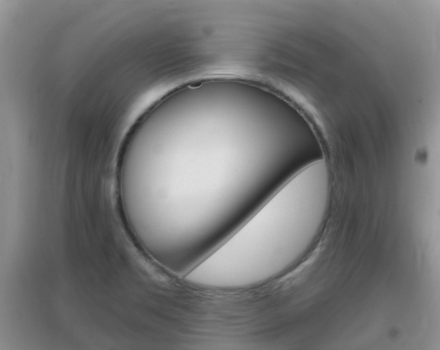 X0000096951469200802080910