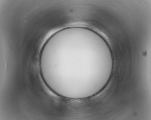 X0000096951470200802080910