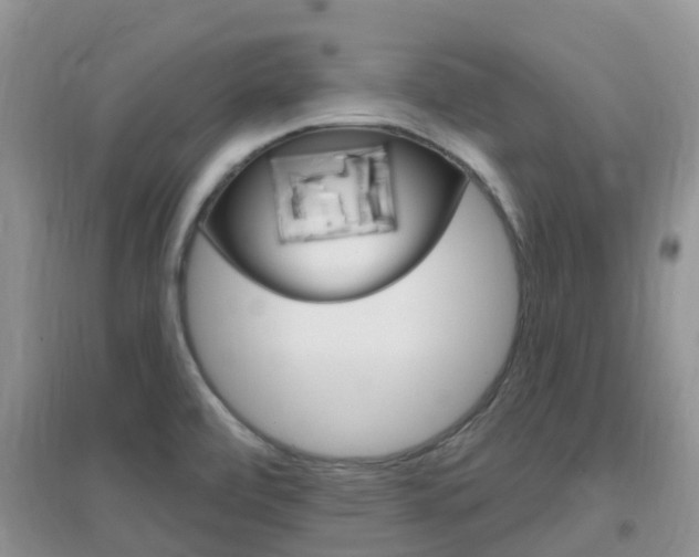 X0000096951472200802080910