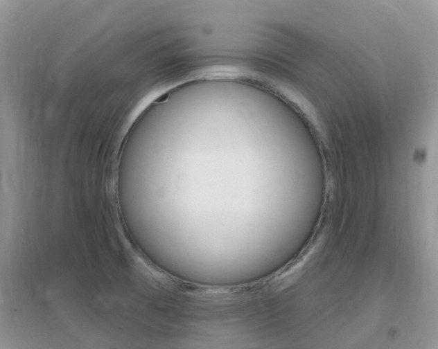 X0000096951473200802080910