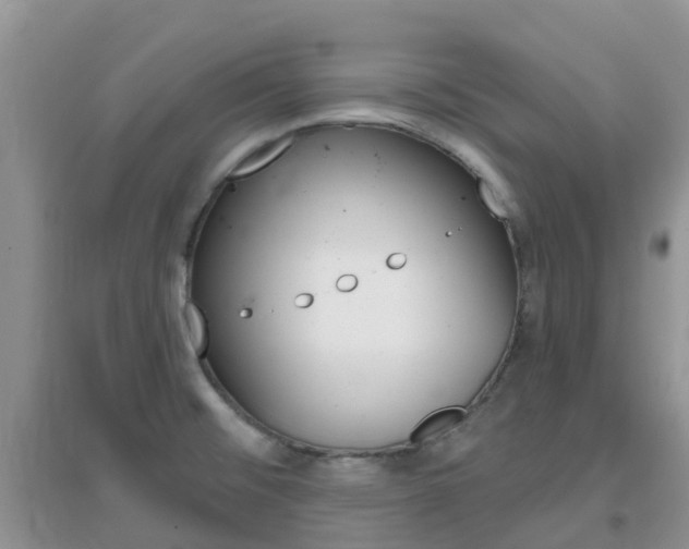 X0000096951476200802080910