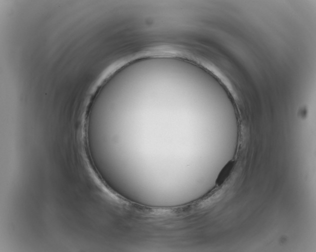 X0000096951477200802080910