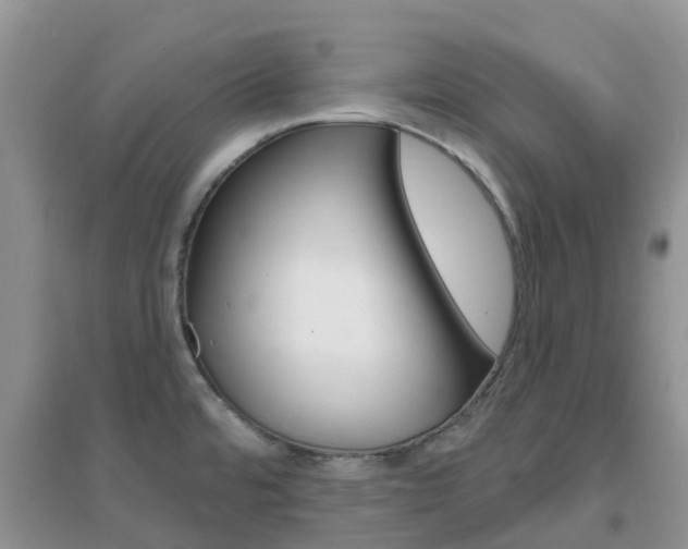 X0000096951480200802080910
