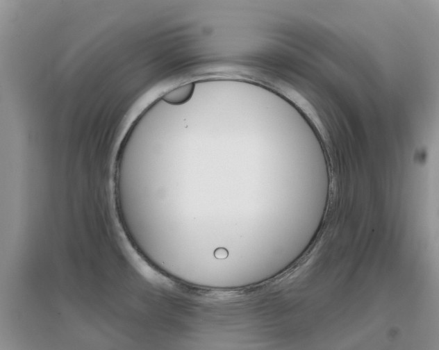 X0000096951482200802080910