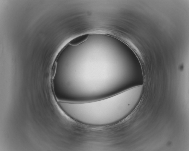 X0000096951484200802080910