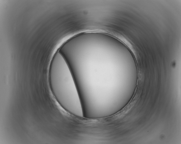 X0000096951485200802080910