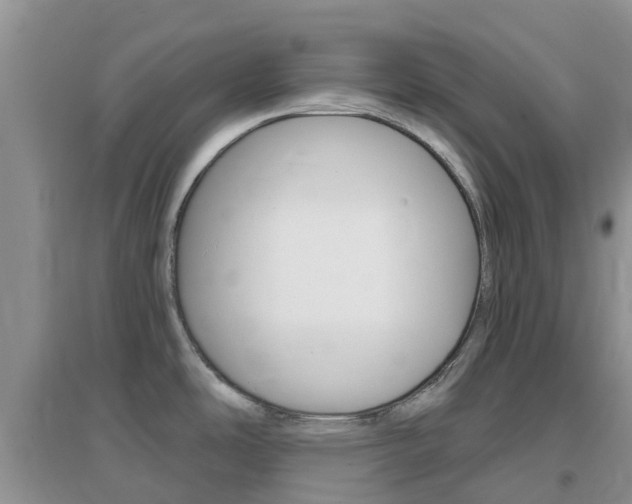 X0000096951486200802080910