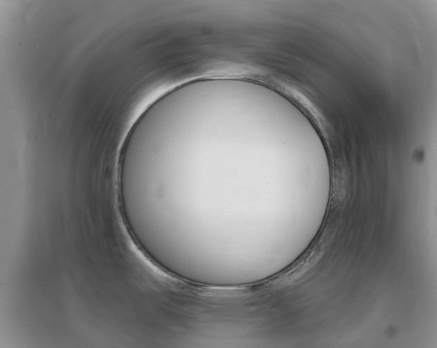 X0000096951487200802080910